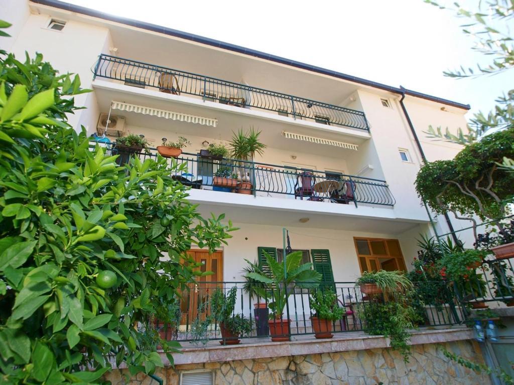 Apartmani Danica Gradac  Exteriér fotografie